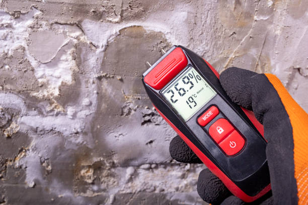 Reliable Jurupa Valley, CA Mold Remediation Solutions