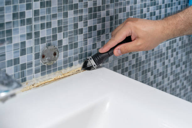 Best Industrial Mold Remediation in Jurupa Valley, CA